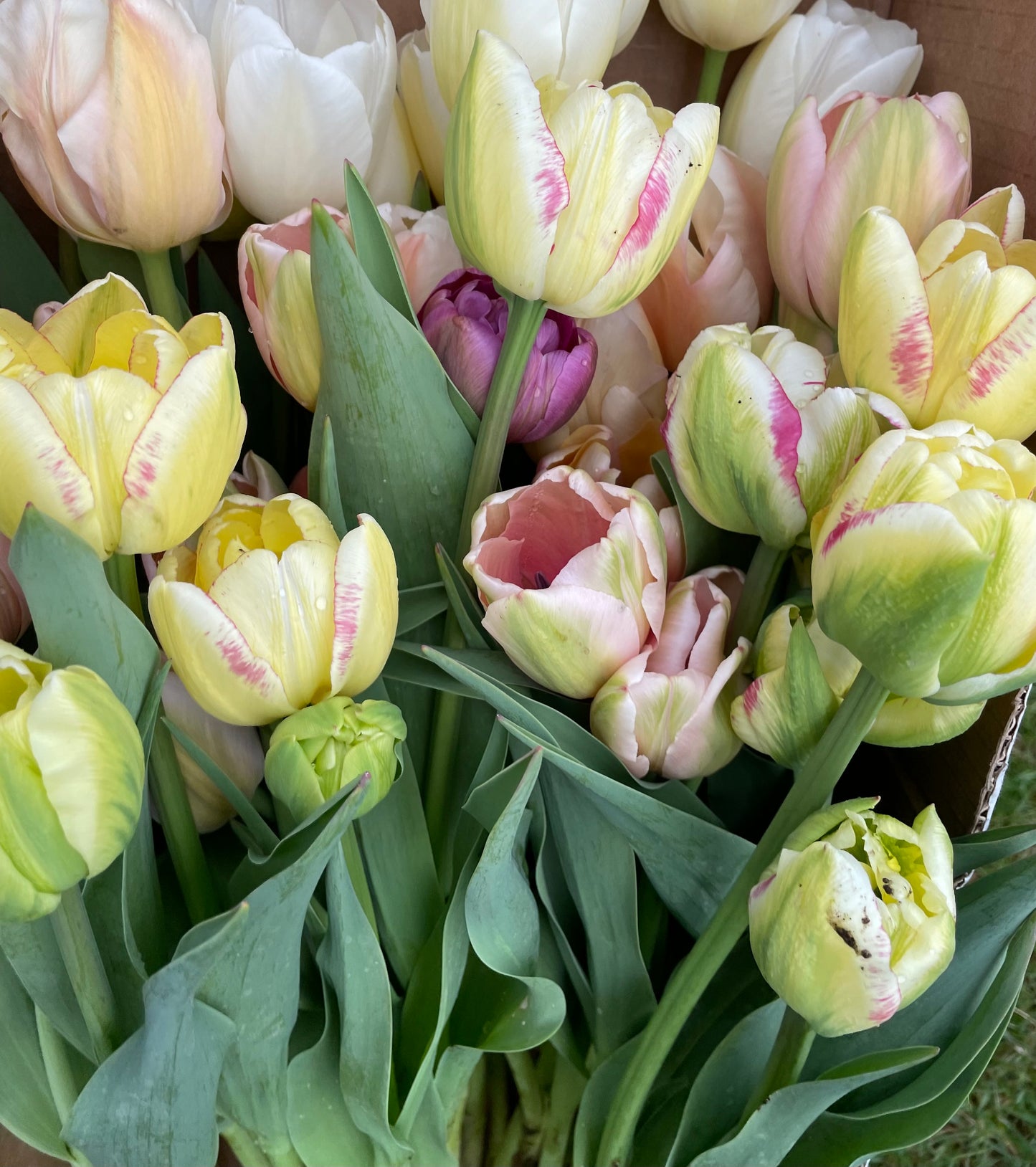 Mother's Day Pre-Order Bouquet
